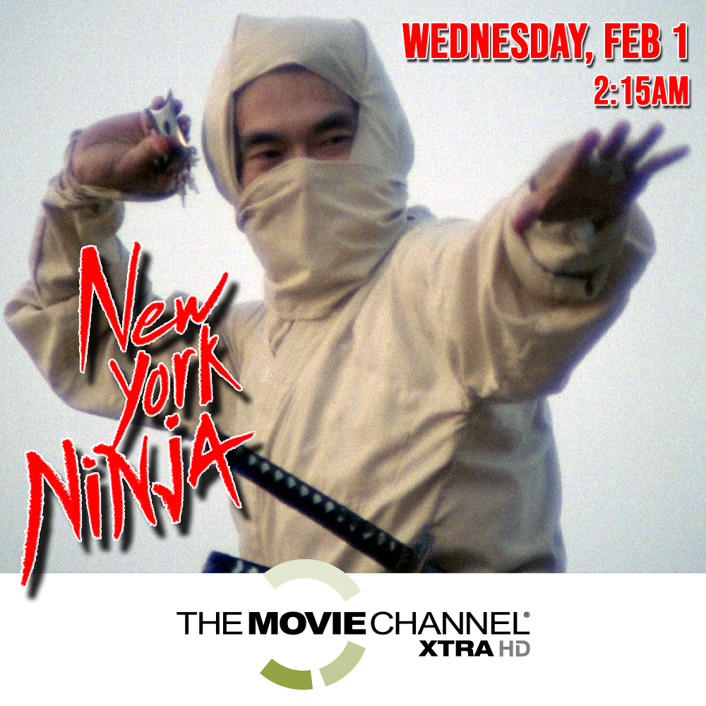 new-nork-ninja-the-movie-channel
